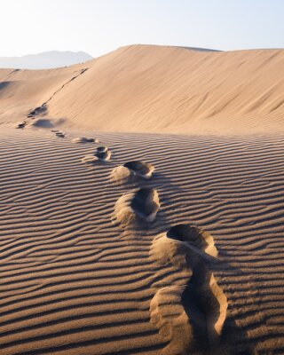 Poster  Des empreintes de pas sur le sable dans le désert s'étendent au loin. Paysage chaud avec des dunes de sable dans le ciel dégagé