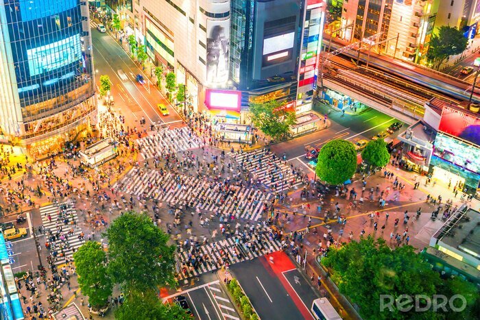 Poster  Des gens à la croisée des chemins à Tokyo