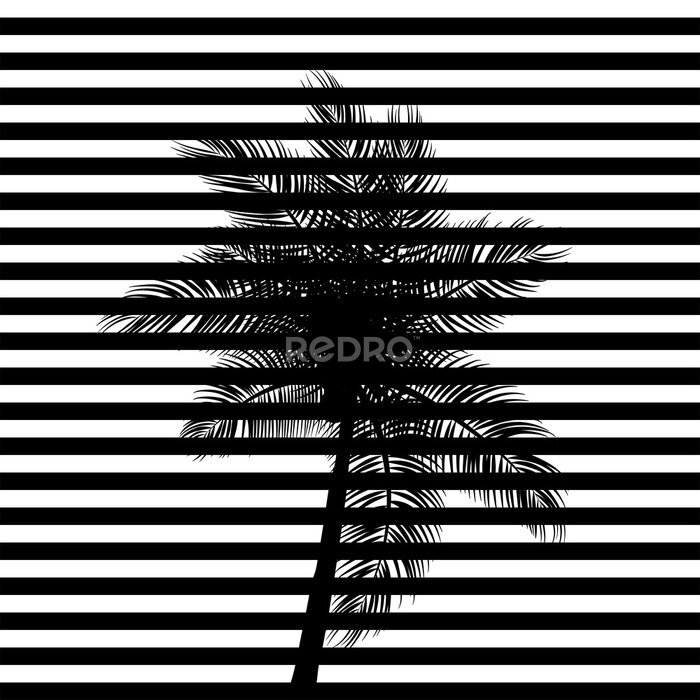 Poster  Des rayures noires et un palmier