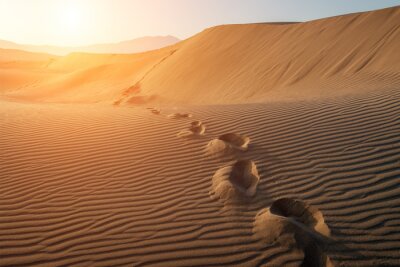 Des traces de pas dans le désert