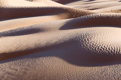 Désert de sable et nature