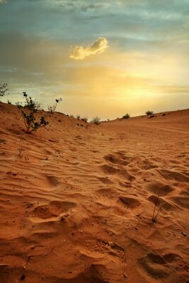 Poster  Desert sunset and sand dunes in Dubai