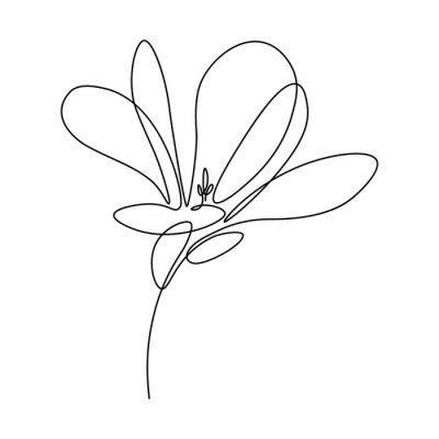 Poster  Dessin au trait magnolia minimaliste.