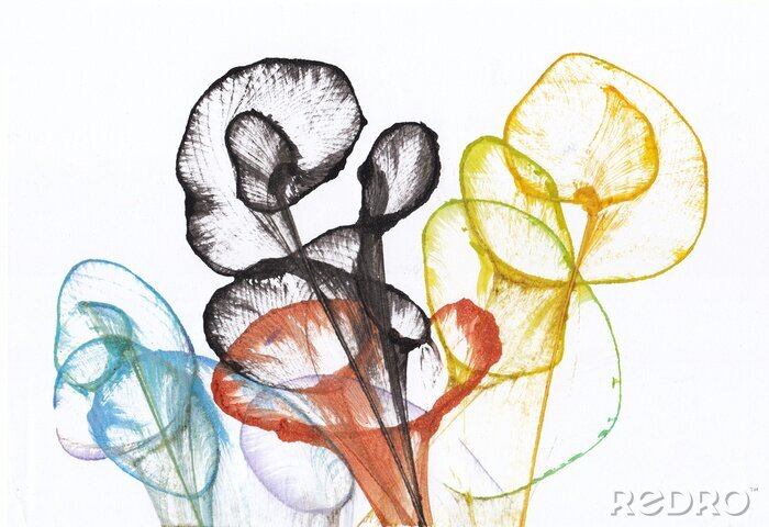 Poster  Dessin coloré de fleurs XXL
