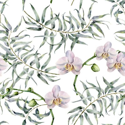 Dessin d'aquarelle tropique avec des eucalyptus et des orchidées blanches. Main, peint, exotique, ornement, branches, feuilles, isolé, blanc, fond Impression naturelle pour le design, le tissu.