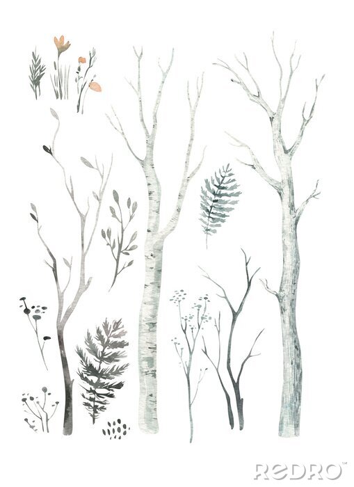 Poster  Dessin d'arbres de la forêt de branches et de feuilles