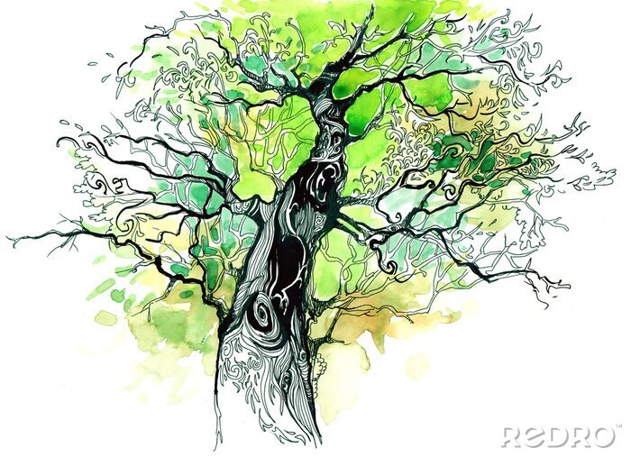 Poster  Dessin d'un arbre avec une couronne verte