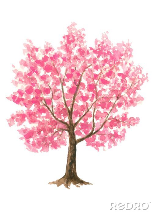Poster  Dessin d'un arbre de cerisier en fleurs