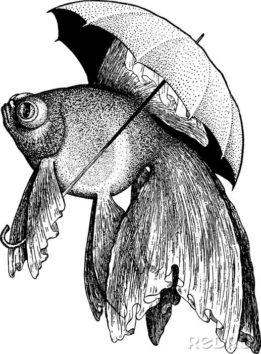 Poster  Dessin d'un poisson s'abritant avec un parapluie