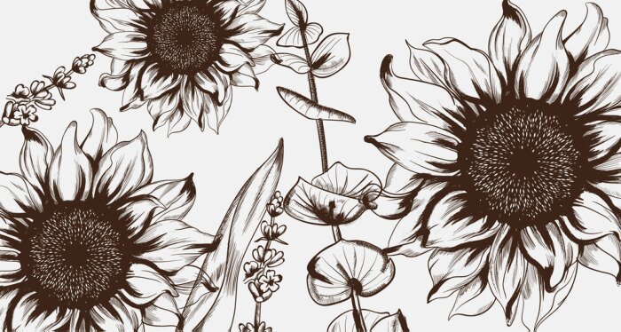 Poster  Dessin de tournesols style vintage