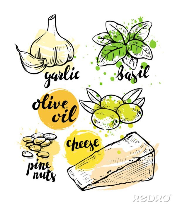 Poster  Dessin des ingrédients du pesto