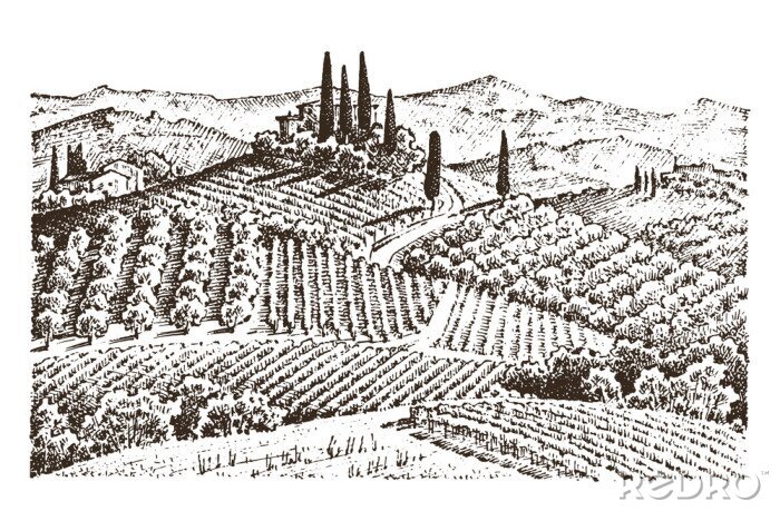 Poster  Dessin en noir et blanc de la Toscane
