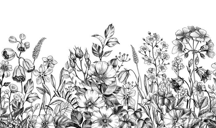 Poster  Dessin noir et blanc de fleurs sauvages