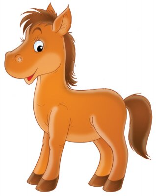 Dessin petit poney marron pour enfant