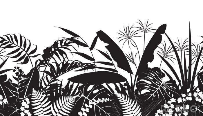 Poster  Dessiner des feuilles tropicales en noir et blanc