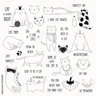 Poster  Dessins drôles de chats