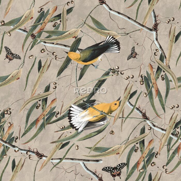 Poster  Deux oiseaux dans le fourré