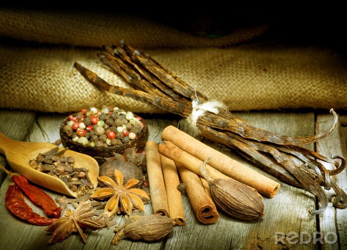 Poster  Différents types et formes d'épices