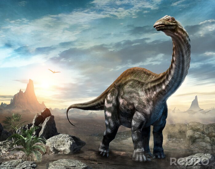 Poster  Dinosaure Apatosaurus composition 3D avec coucher de soleil