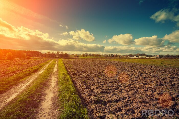 Poster  Dirt route sur le champ labouré au coucher du soleil