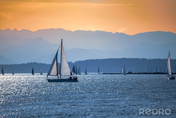 Poster  Distant sailboats on the Salish sea with Olympic Mountains at sunset.