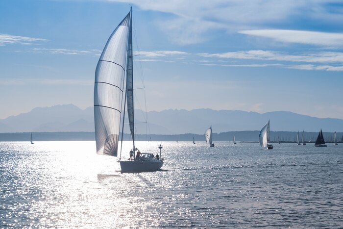 Poster  Distant sailboats with silhouetted crew on deck, full sails. 