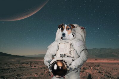 Dog astronaut in a space suit with a helmet travels on Mars. Spaceman animal on a red planet. Space journey concept
