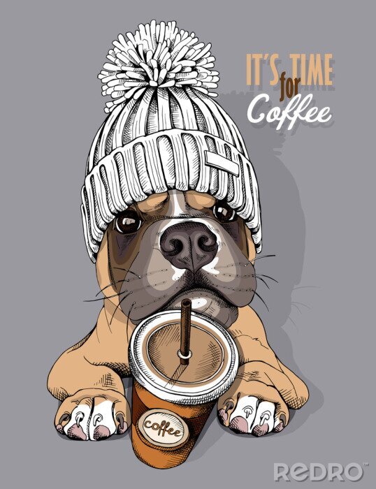 Poster  Dog Boxer in a knitted cap with pompom and coffee to go. Vector illustration.