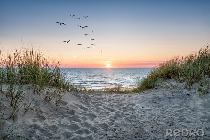 Poster  Dunes de sable au bord de la mer et coucher de soleil
