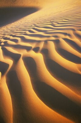 Poster  dunes du désert