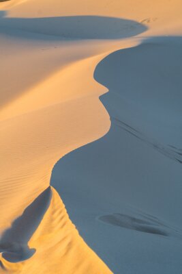 Poster  dunes et sable dans le paysage désertique