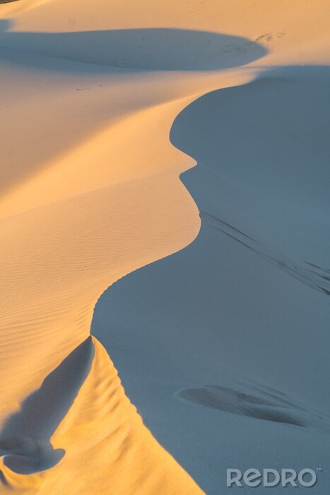 Poster  dunes et sable dans le paysage désertique
