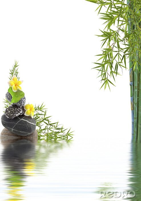 Poster  Eau et pierres en bambou 3D