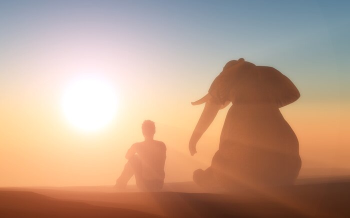 Poster  Elephant et l'homme