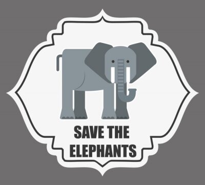 Poster  Éléphant gris