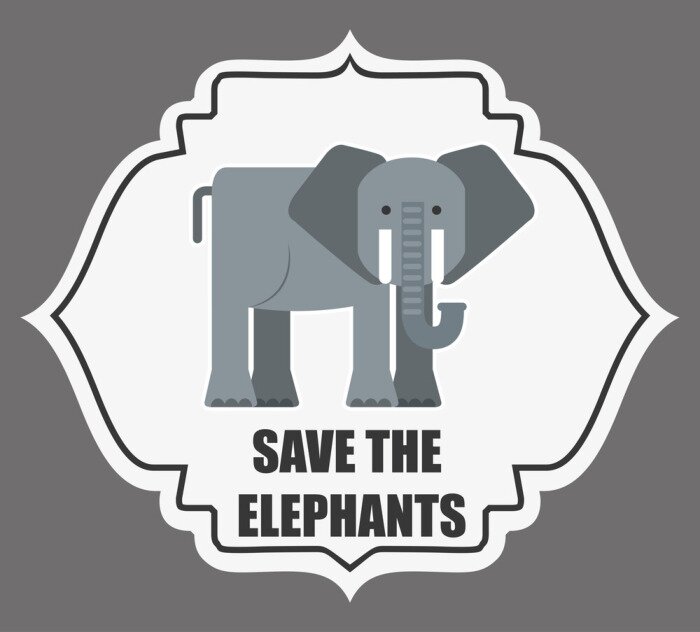 Poster  Éléphant gris