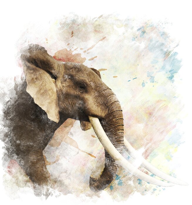 Poster  Eléphant peint à l'aquarelle