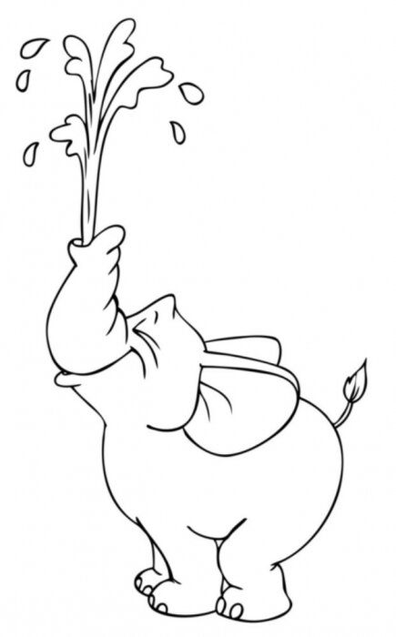 Poster  Éléphanteau