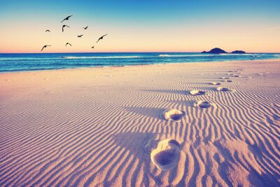 Poster  Empreintes de pas dans le sable