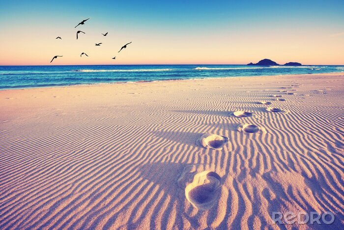 Poster  Empreintes de pas dans le sable