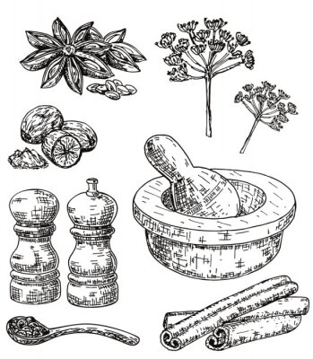Poster  Ensemble d'herbes et d'épices culinaires dessinés à la main Vector encre