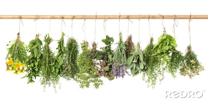 Poster  Épices et herbes aromatiques sur un fond blanc