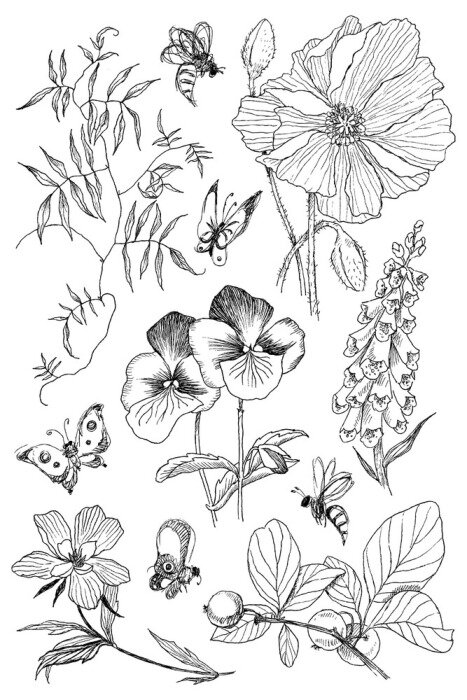 Poster  Esquisse de fleurs d'abeilles et de papillons