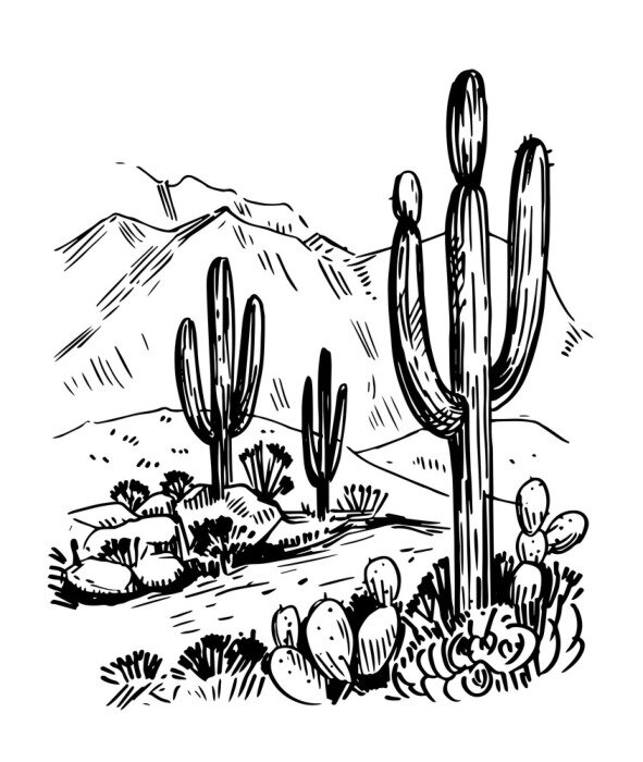 Poster  Esquisse du désert d'Amérique