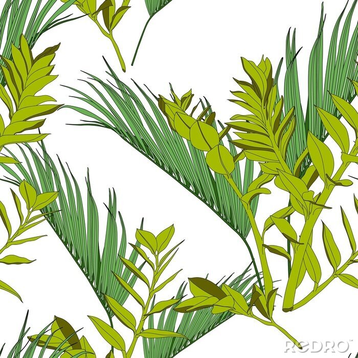 Poster  Exotic tropical and palm leaves, white background. Floral seamless pattern.