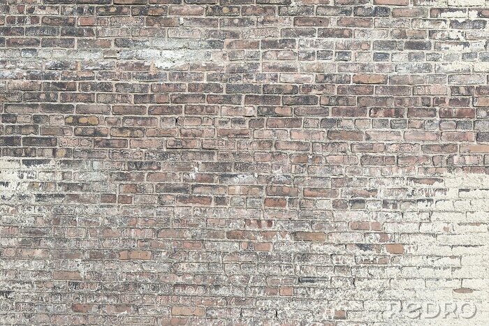 Poster  Façade en briques abimées