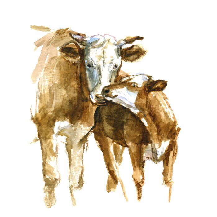 Poster  Famille de vaches