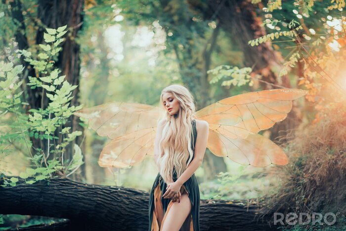 Poster  Fantaisie au milieu de la forêt avec une fée