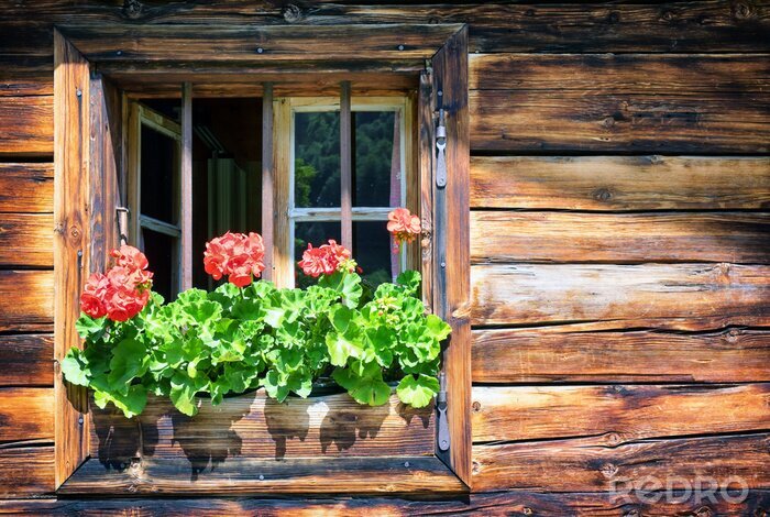 Poster  Fenêtre et planches horizontales