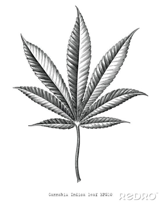 Poster  Feuille de cannabis monochrome